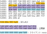 dnscurve_1_request_pkt