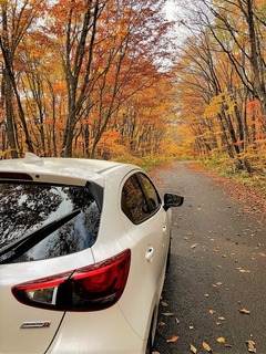 h30.10.24ドライブ05