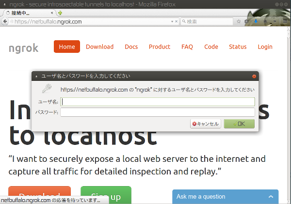 ngrok basic authentication