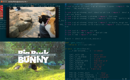 05 teminology - terminal desktop