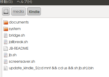 06 copy screensaver script