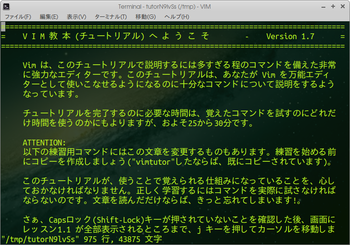 vimtutor
