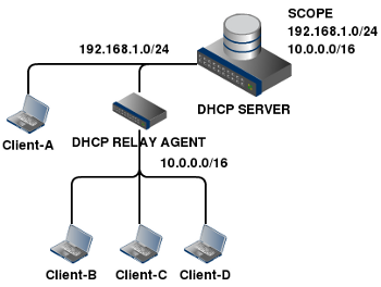 dhcp-storm-network1
