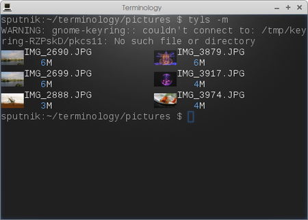 terminalogy tyls