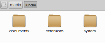 copy extentions to kindle