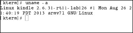 kindle kterm execute command