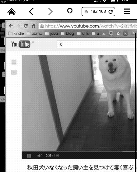 kindle web server show youtube