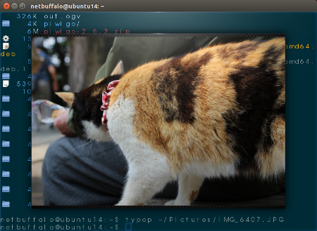terminology linux terminal emulator