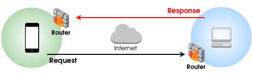 basic_nat_firewall_model