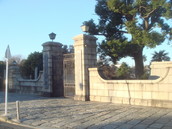 DSC00413