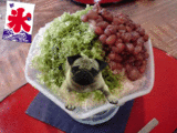 0c5e41de.gif