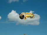 700afd61.gif
