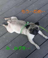 c2d50ed1.jpg