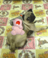 c33d29a1.gif