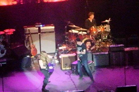 ZakkWylde