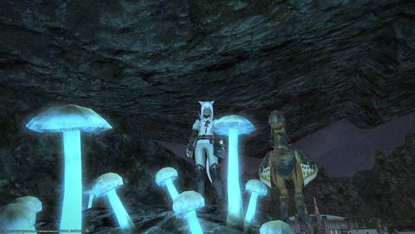 ffxiv_20150731_211908