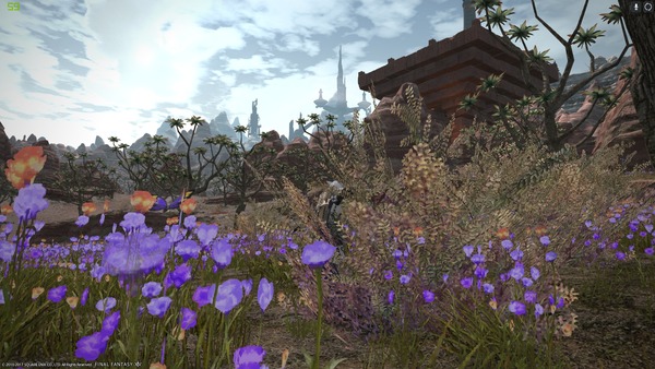 ffxiv_20170620_185310