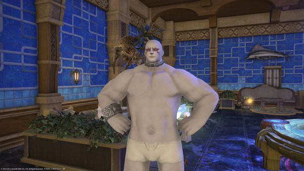 ffxiv_20150809_000659