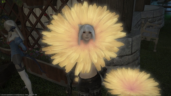 ffxiv_20160305_154357