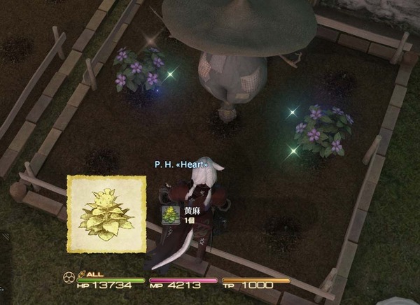 ffxiv_20160117_151222