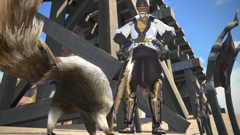 ffxiv_20140515_221918