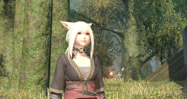 ffxiv_20150228_010113