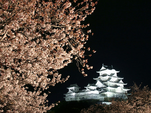 sakrua003
