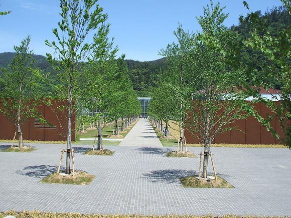 izumo1
