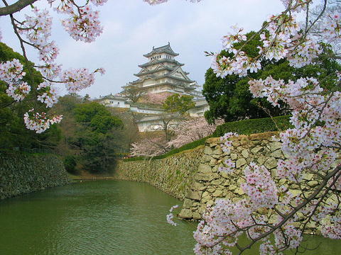 sakrua001