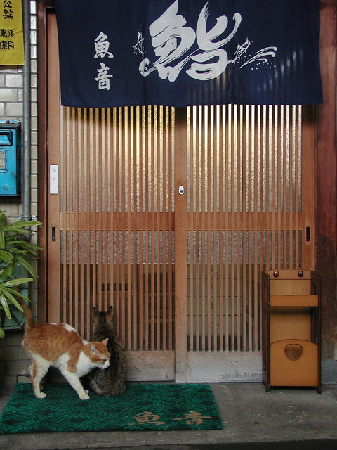 nuko007