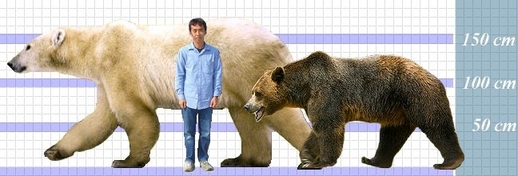 putin06