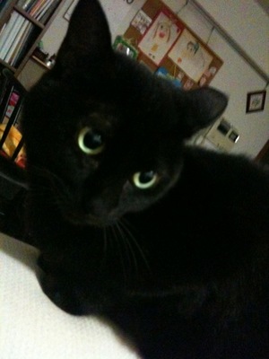 nekouyo_136