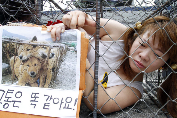 http://livedoor.blogimg.jp/netouyonews/imgs/e/7/e7d10c36-s.jpg
