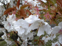 DVC00375_25