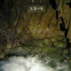 255471c9.jpg