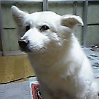 3451996c.jpg