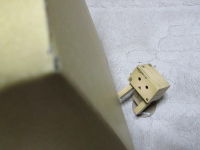 IMG_1253_2