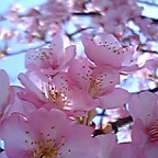 4241cc94.jpg