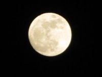 IMG_1635_10