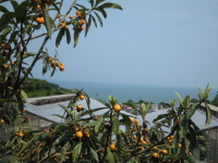 66c56f24.jpg