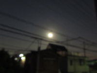 IMG_1634_9