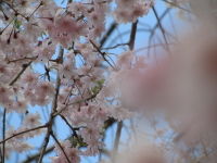 IMG_2789_55