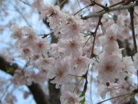IMG_2791_57