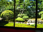 d4dfd8a8.jpg