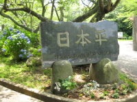 d93e082d.jpg