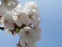 IMG_2805_71