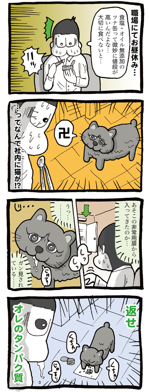 オフィス内に侵入してくる野良猫「クロ」との出会い編。いつも僕のタンパク質(エサ)を奪っていくにくいやつ。。