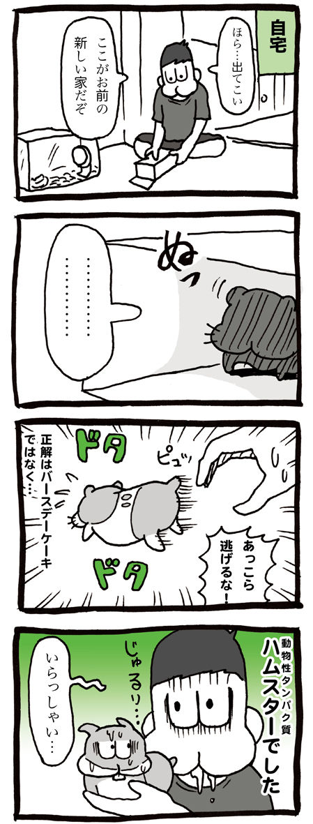 ペットショップでハムスターを購入したら白い箱に入れられてきた漫画02