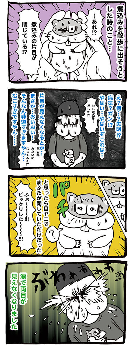 片目が見えなくなったハムスターマンガ