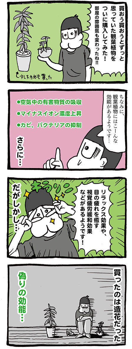 観葉植物の効能はこれだ!